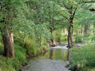 wpe180.jpg (234244 bytes)