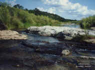 wpe179.jpg (82231 bytes)